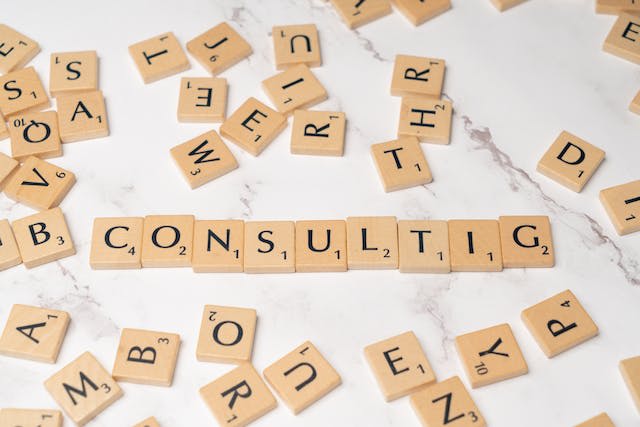 Elite Management Consultancies Firms