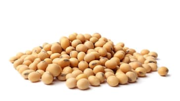 The Benefits Of Sustainable Soy And How To Incorporate It Into Your Diet