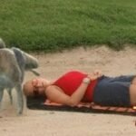 Funny videos - Try not to laugh (Challenge Impossible) 2