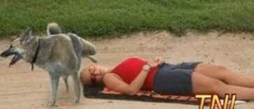 Funny videos - Try not to laugh (Challenge Impossible) 3