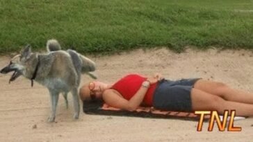 Funny videos - Try not to laugh (Challenge Impossible) 3