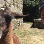 Volunteer Peru Cusco Review Anissa Akrout Medical Program Abroa 27 Volunteer Peru Cusco Review Anissa Akrout Medical Program Abroa 7