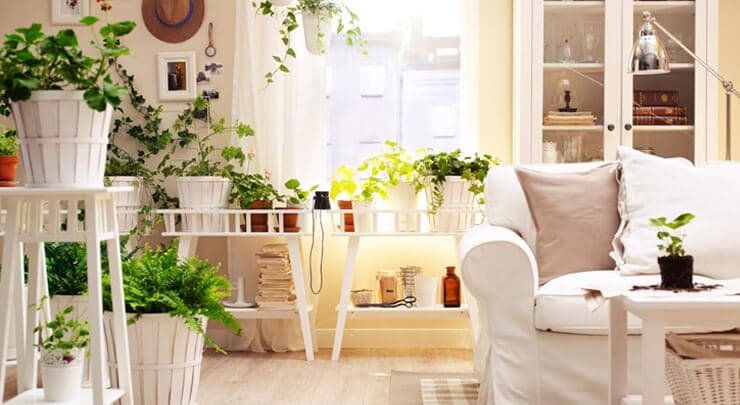 11 tactics to improve air quality without appliances