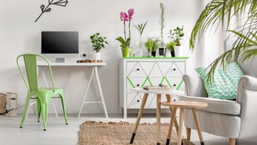 Improve air quality inside your home