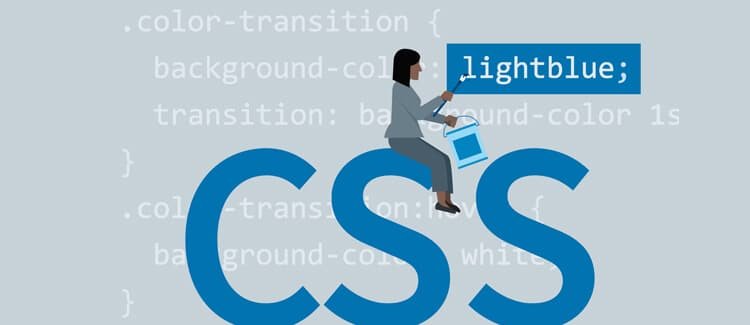 Utilization of CSS in a Website