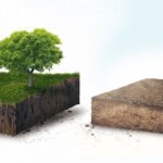 Filing-partition-of-property-with-joint-owners-in-your-absence-can-become-a-nightmare-Beware