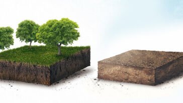 Filing-partition-of-property-with-joint-owners-in-your-absence-can-become-a-nightmare-Beware