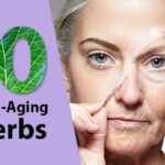 10 herbs for anti-aging and skin care 30 10 herbs for anti-aging and skin care