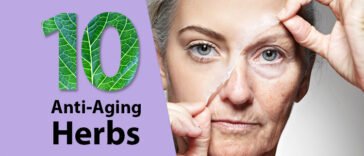 10 herbs for anti-aging and skin care