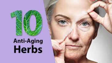 10 herbs for anti-aging and skin care