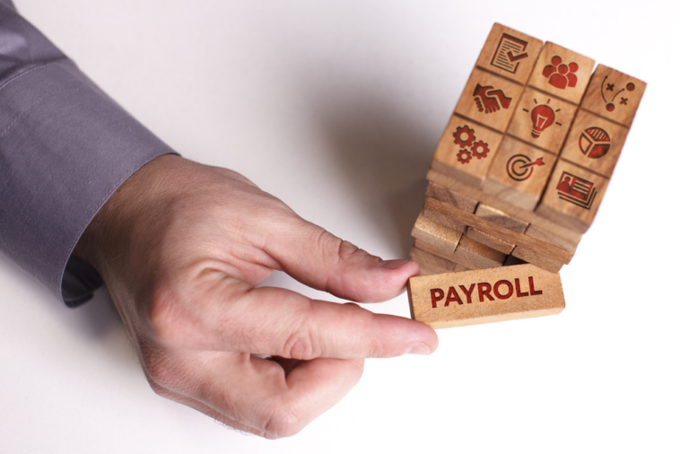 HR payroll software for Business