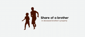 Share of a brother in deceased brother’s property 7 Share of a brother in deceased brother’s property