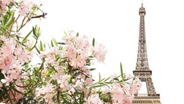 France Travel Tips for Travelers