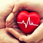 What are the warning signs of clogged arteries? 27 What are the warning signs of clogged arteries?