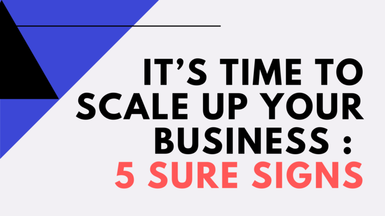 scale up Your Business