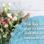 The Sky Shines due to Stars, and We smile because of flowers