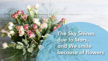 The Sky Shines due to Stars, and We smile because of flowers