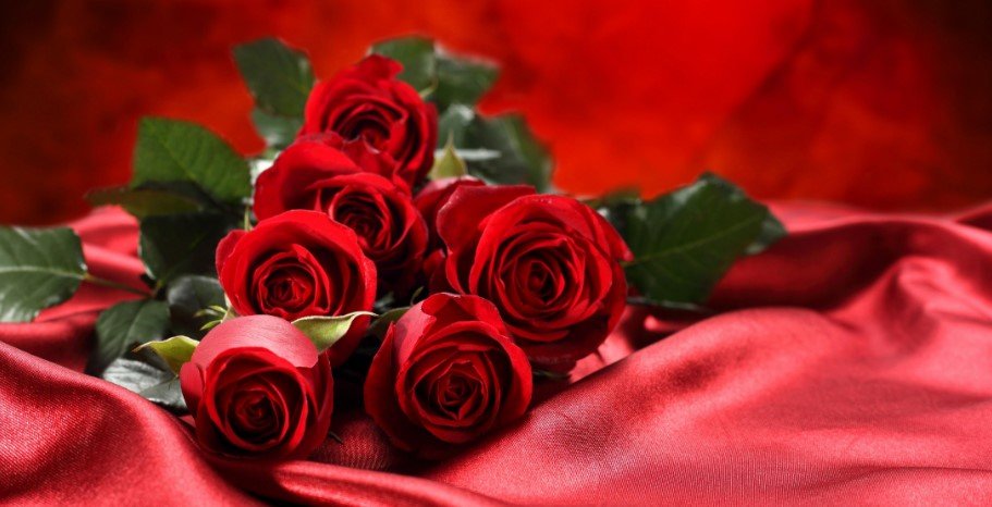 red rose flower bouquet