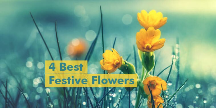 Best festive flowers 7 4 Best festive flowers