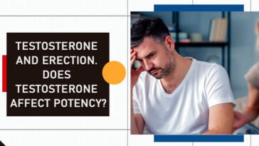 Does Testosterone Affect Potency? 4 Testosterone and Erection. Does Testosterone Affect Potency