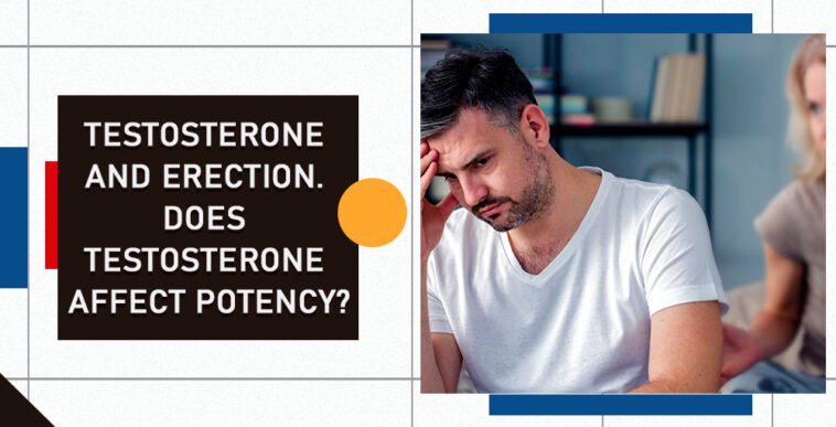 Testosterone and Erection. Does Testosterone Affect Potency