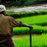 How To Do Your Part For The Environment By Gardening