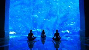 Why Should You Try Underwater Yoga at Dubai Aquarium?