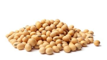 The Benefits Of Sustainable Soy And How To Incorporate It Into Your Diet
