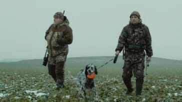 Improve Your Deer Hunting Strategies Parasteh