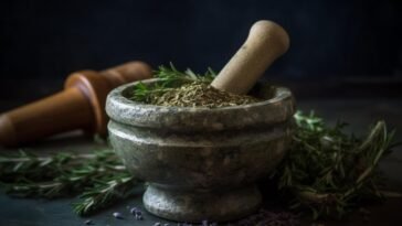 5 Reasons to Try Vedic Meditation