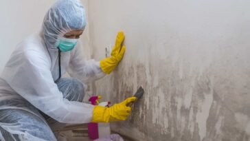 Orlando Mold Remediation: Ensuring a Healthy Environment 1