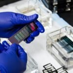 Lifeasible Updated Its Customized Services for Mannosylated Exosomes R