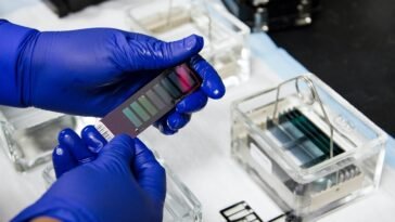 Lifeasible Updated Its Customized Services for Mannosylated Exosomes R