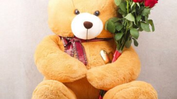 5 Valentine's Day Gifts Thoughtful Ideas for the Perfect Celebration