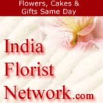 Profile picture of Lasion Dukpa