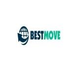 Profile picture of Man and Van Putney